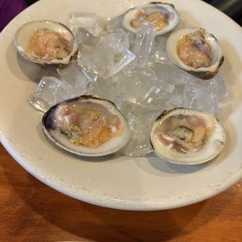 Curry's Restaurant And Pub - Raw clams - Pubs Near Me - Buffalo, New York Curry's Restaurant And Pub - Raw clams - Pubs Near Me - Buffalo, New York