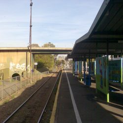 Goodwood Railway Station - Platform & Tram Bridge