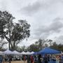 Photo of Valentine Park