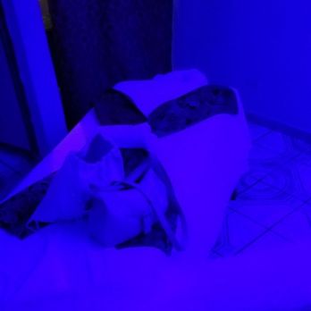 Nicte   Massage - Massage Near Me - Puerto Vallarta, JAL