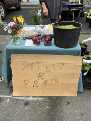 Arcata Plaza Farmers' Market by null