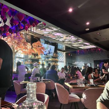 Ten Sushi - Main dining area - Sushi Bars Near Me - Houston, Texas
