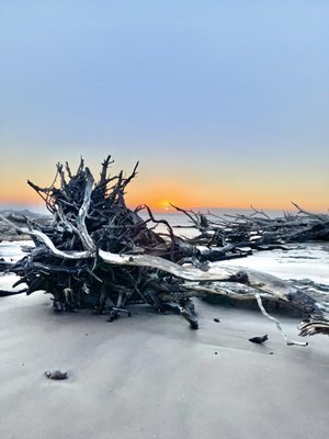 Big Talbot Island State Park by null