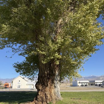 Calvada Meadows Park - 11.24.2025 - Parklets Near Me - Pahrump, Nevada Calvada Meadows Park - 11.24.2025 - Parklets Near Me - Pahrump, Nevada