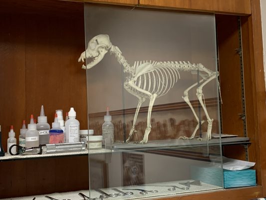 Las Tunas Animal Hospital 108 Las Tunas Dr Arcadia Ca Unknown Mapquest