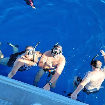 One Ocean Diving - Free Diving Near Me - Haleiwa, Hawaii