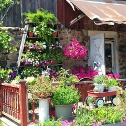 Beautiful flowers