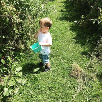 Apple Hills Farm - Pick Your Own Farms Near Me - Binghamton, New York