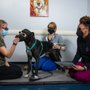 Photo of Integrative Pet Care