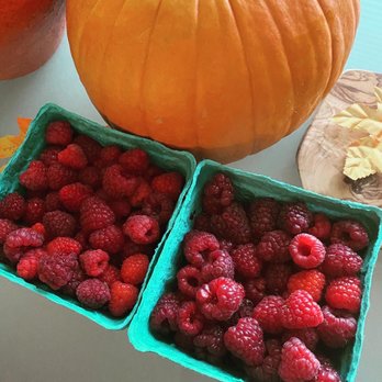 Heider's Berry Farm - Pick Your Own Farms Near Me - Woodstock, Illinois