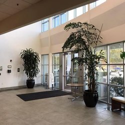 Creative Impressions Plants  - Monthly Plant Rental Plans Available