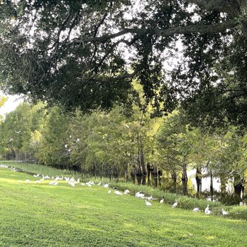 Eagle Nest Park - Parks Near Me - Orlando, Florida Eagle Nest Park - Parks Near Me - Orlando, Florida