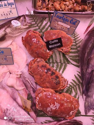 D’Aligre Market by null