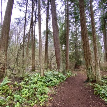 Crescent Park - Forested Paths - Parks Near Me - Surrey, British Columbia Crescent Park - Forested Paths - Parks Near Me - Surrey, British Columbia