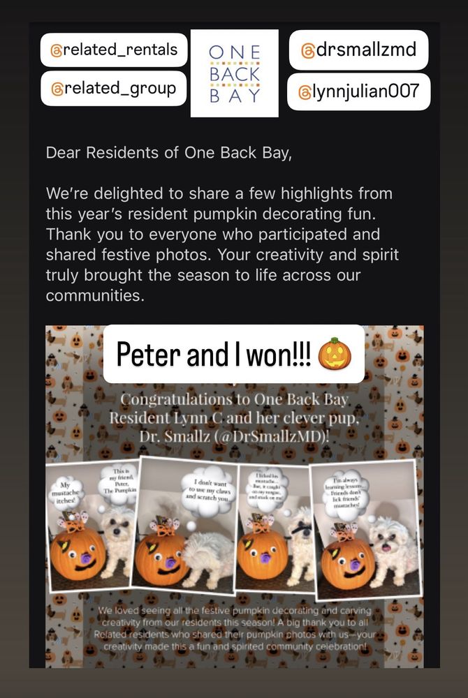 Back Bay - social services organization in Boston, MA