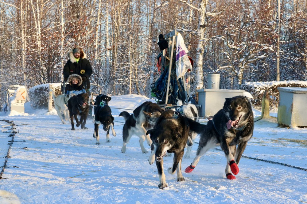 Alaska Mushing School Logo