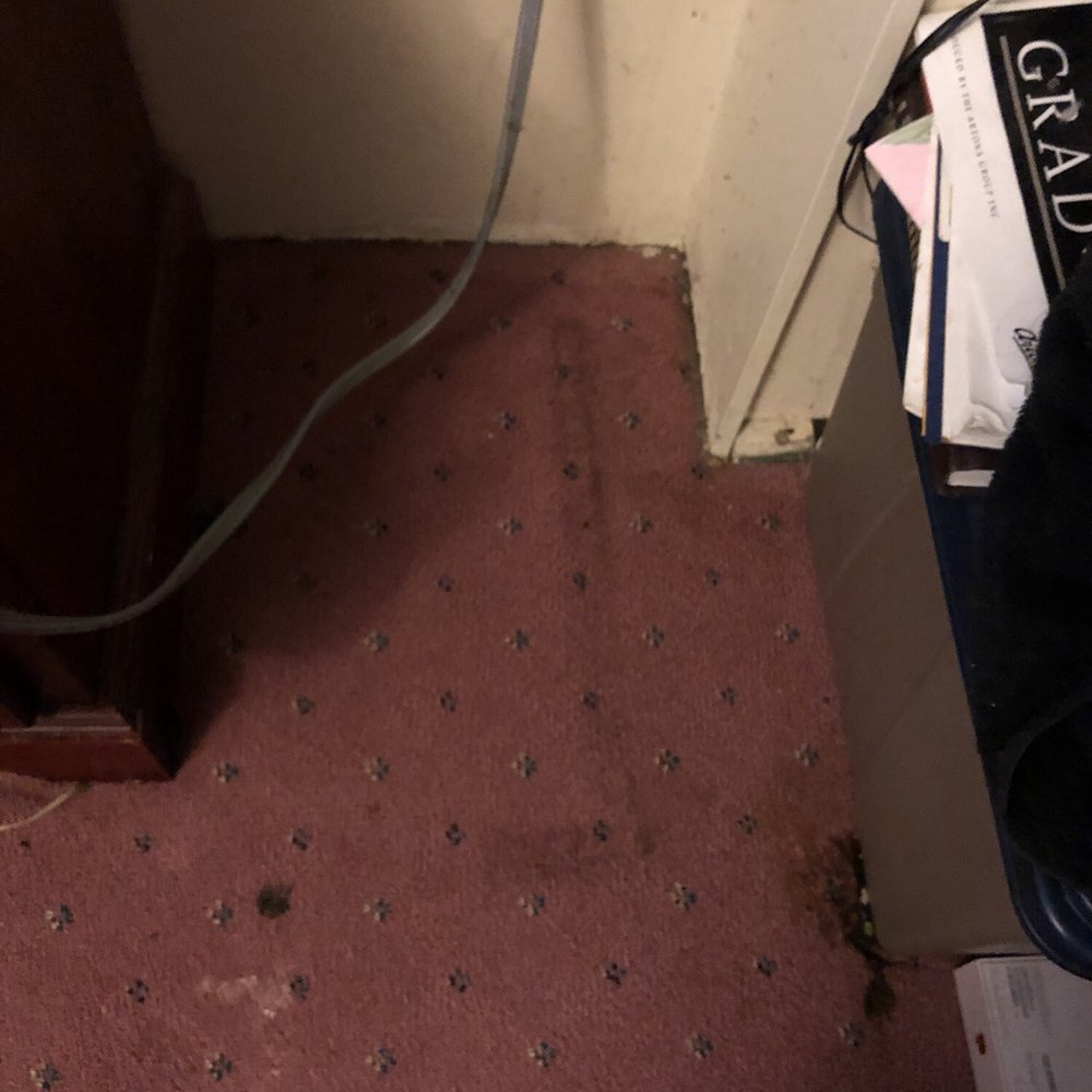 Refresh Carpet Cleaning - Vancouver - This after Scott "cleaned" the carpets - Carpet Cleaning Near Me - Vancouver, British Columbia Refresh Carpet Cleaning - Vancouver - This after Scott "cleaned" the carpets - Carpet Cleaning Near Me - Vancouver, British Columbia