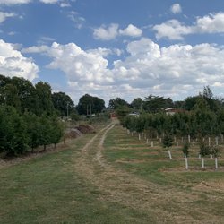Crain's Tree Farm & Nursery