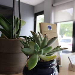 Synergy Rehabilitation & Chiropractic