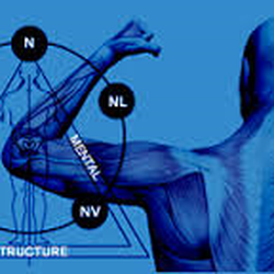 Erika Eckman, DC - Applied Kinesiology practitioner