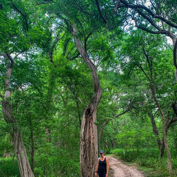 Palmetto State Park - Parks Near Me - Gonzales, Texas Palmetto State Park - Parks Near Me - Gonzales, Texas