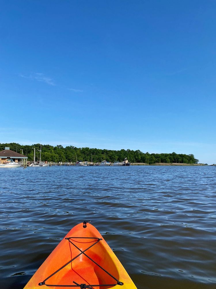 EASTERN WATERSPORTS Updated August 2024 17 Photos 7400 Graces