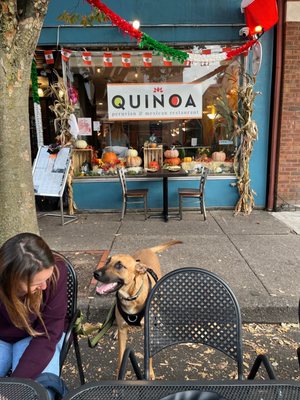 Quinoa Peruvian & Mexican Restaurant by null