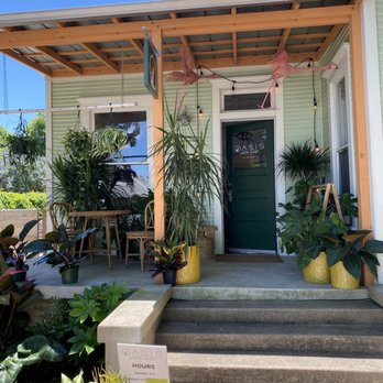 Oasis Plant Shop - Nurseries & Gardening Near Me - Dallas, Texas