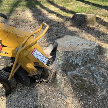 Taylor’s Precision Stump Grinding + - Before and after shots! - Tree Services Near Me - Gloucester, Virginia Taylor’s Precision Stump Grinding + - Before and after shots! - Tree Services Near Me - Gloucester, Virginia