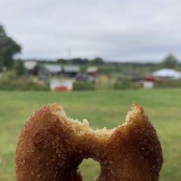 Apple cider doughnut!!!