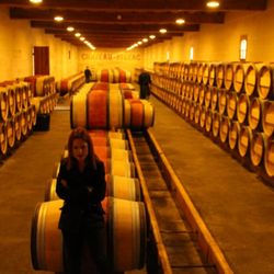 Chateau Figeac - The room for "racking" the barrels.
