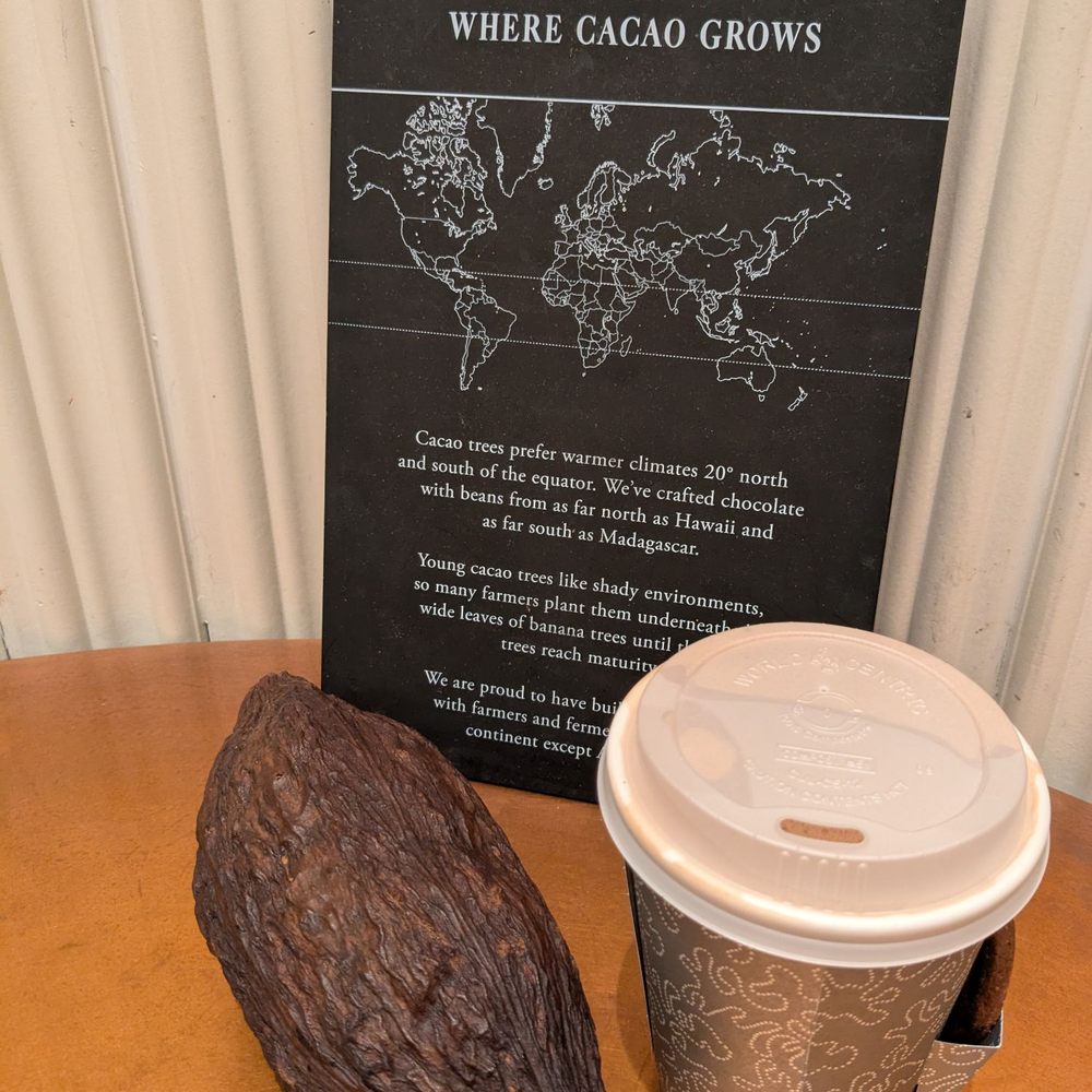 Dandelion Chocolate - Hot chocolate drink - Chocolatiers & Shops Near Me - Las Vegas, Nevada