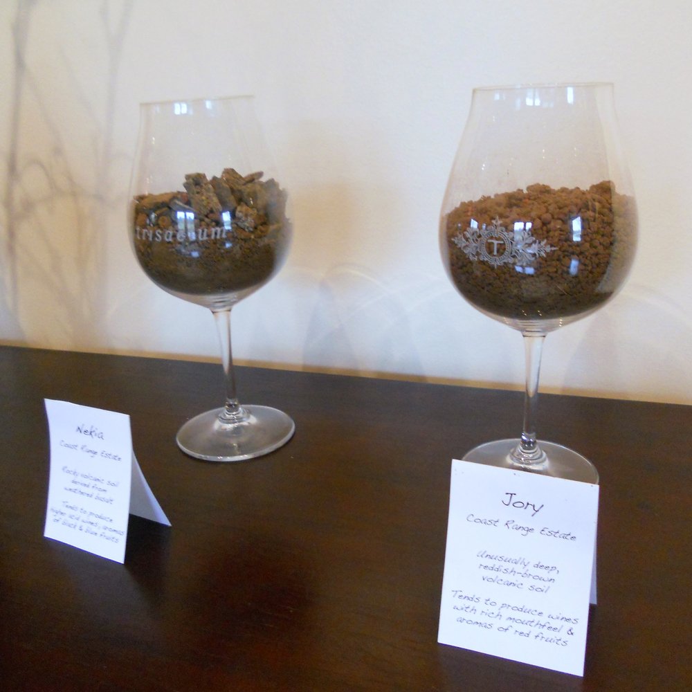 Trisaetum Winery - Soil samples in wine glasses on entty table remind us what is at the heart of wine making. - Wineries Near Me - Newberg, Oregon Trisaetum Winery - Soil samples in wine glasses on entty table remind us what is at the heart of wine making. - Wineries Near Me - Newberg, Oregon