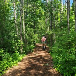 Lions Den Gorge Nature Preserve - Forest and path