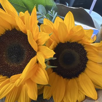 Cypress Florist - Florists Near Me - Cypress, California Cypress Florist - Florists Near Me - Cypress, California