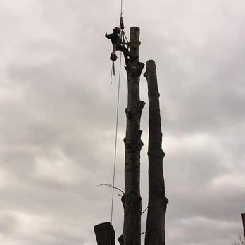 Danny International Tree Service - Working on 11- 20 -18 - Landscaping Near Me - Hackettstown, New Jersey Danny International Tree Service - Working on 11- 20 -18 - Landscaping Near Me - Hackettstown, New Jersey