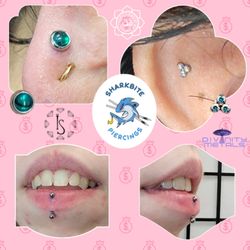 Vertical labret lip piercing, orbital piercing, lobe piercing, helix piercing, flat piercing