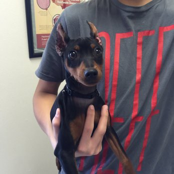 Perris Valley Veterinary Clinic - Veterinarians Near Me - Perris, California