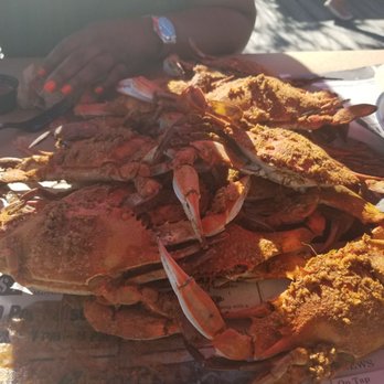 Captain James Crab House - Large crabs - Seafood Near Me - Baltimore, Maryland Captain James Crab House - Large crabs - Seafood Near Me - Baltimore, Maryland