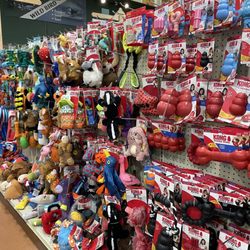 Agway of Cape Cod - Dennis - One of many rows of dog toys