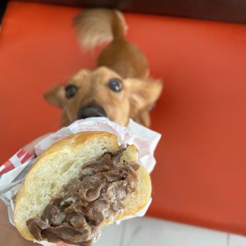 Capriotti's Sandwich Shop - a dog eating a sandwich - Sandwiches Near Me - Honolulu, Hawaii Capriotti's Sandwich Shop - a dog eating a sandwich - Sandwiches Near Me - Honolulu, Hawaii