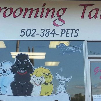Grooming Tails - Pet Groomers Near Me - Louisville, Kentucky Grooming Tails - Pet Groomers Near Me - Louisville, Kentucky