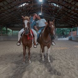 R&M Stables