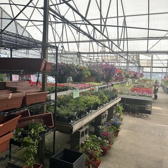 Fresh Choice Farm - rows of plants in a greenhouse - Farmers Market Near Me - Surrey, British Columbia Fresh Choice Farm - rows of plants in a greenhouse - Farmers Market Near Me - Surrey, British Columbia