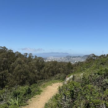 San Bruno Mountain State & County Park - Parks Near Me - Brisbane, California San Bruno Mountain State & County Park - Parks Near Me - Brisbane, California