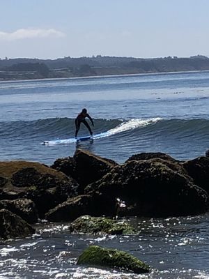 Capitola Beach Company by null
