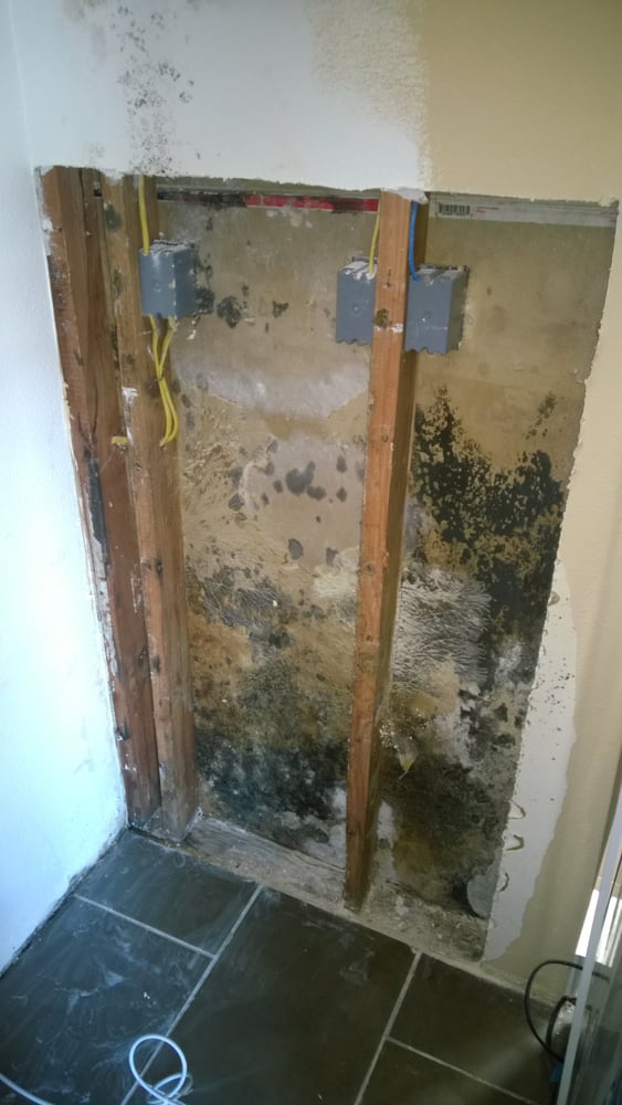 Gold Health & Safety Consulting - mold inspector in Redondo Beach, CA