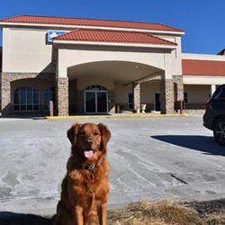 Mission Veterinary Emergency & Specialty