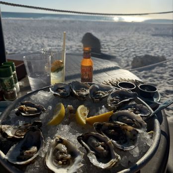 Sandbar Seafood & Spirits - Dozen oysters - Seafood Near Me - Anna Maria, Florida Sandbar Seafood & Spirits - Dozen oysters - Seafood Near Me - Anna Maria, Florida