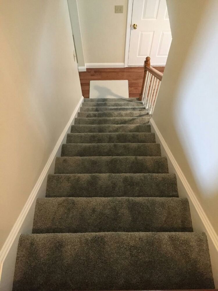 GODFREY CARPETS Updated September 2024 380 Daniel ster Dr